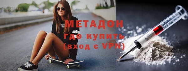 шишки Арсеньев