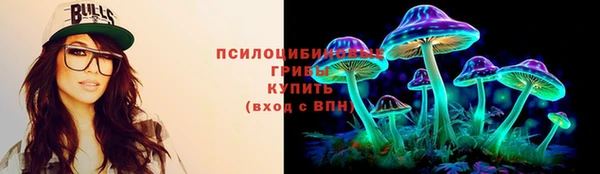 шишки Арсеньев