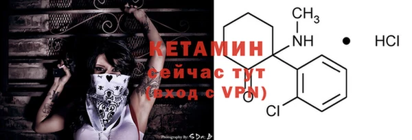 шишки Арсеньев