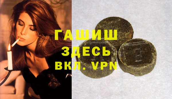 шишки Арсеньев