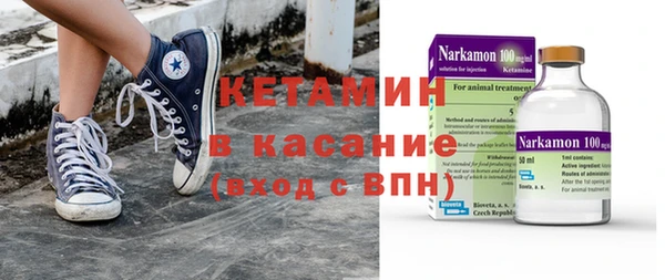 шишки Арсеньев