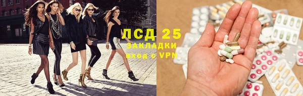 шишки Арсеньев