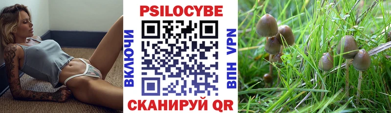 Псилоцибиновые грибы GOLDEN TEACHER  Тейково 
